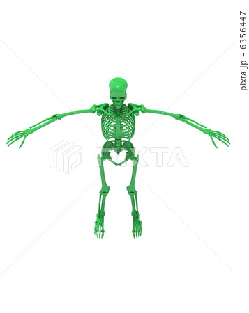 スケルトングリーン2 6356447