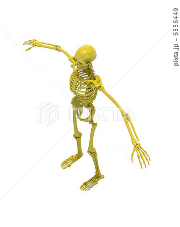 スケルトンイエロー3 スケルトンイエロー3 6356449