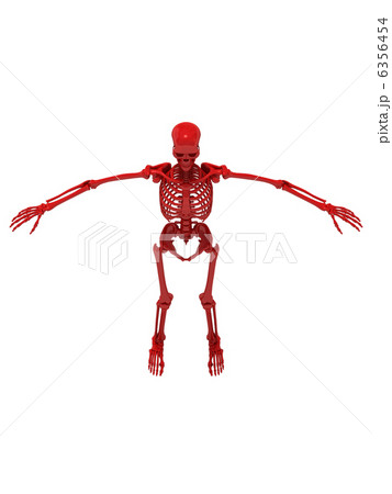 スケルトンレッド2 スケルトンレッド2 6356454