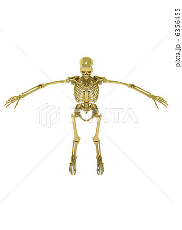 スケルトンゴールド2 スケルトンゴールド2 6356455