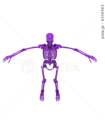 スケルトンパープル2 6356463