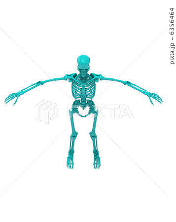 スケルトンライトブルー2 6356464