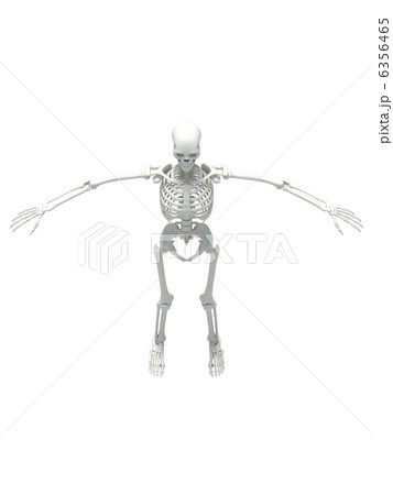 スケルトンホワイト2 6356465