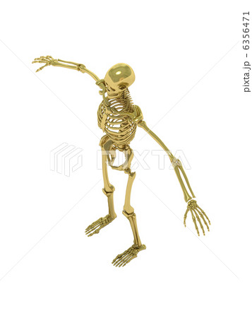 スケルトンゴールド3 6356471