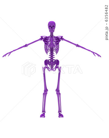 スケルトンパープル1 スケルトンパープル1 6356482