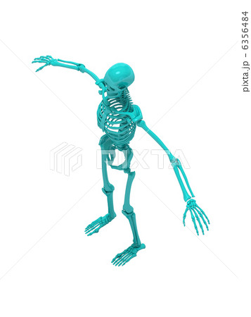 スケルトンライトブルー3 スケルトンライトブルー3 6356484