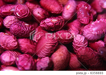 大正金時 大正金時 6356693