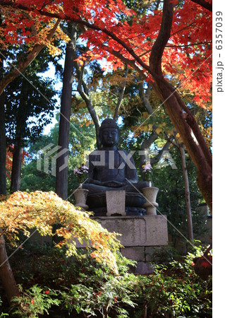 仏像ともみじ 6357039