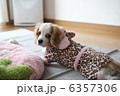 ん？？何か？？ 6357306