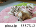 ねんね 6357312