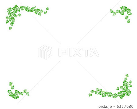 Plant Plants Potos Vine Plants Vines And Plants Stock Illustration