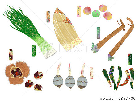 京野菜のイラスト素材 6357706 Pixta