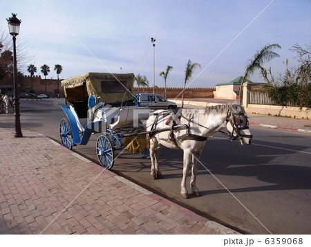 メクネスの馬車 メクネスの馬車 6359068