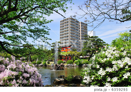 白山公園とマンション 6359293