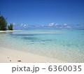 タヒチの海岸 6360035