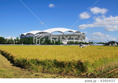 新潟市の田園 新潟市の田園 6360433