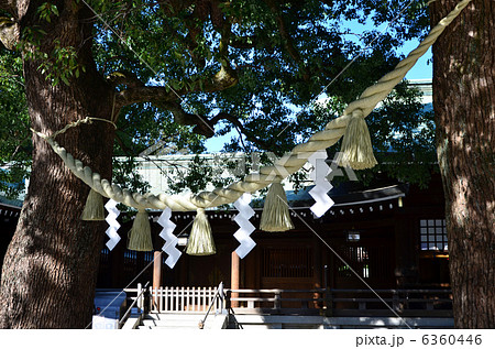 明治神宮 6360446