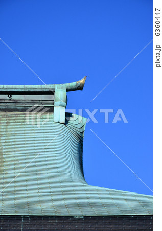 明治神宮 6360447