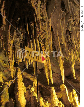 球泉洞 ヘリクタイト 球泉洞 ヘリクタイト 6361319