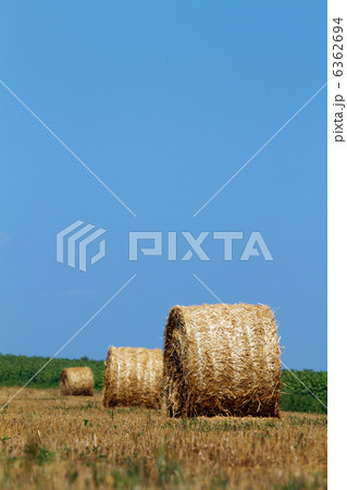 Hay bales Hay bales 6362694