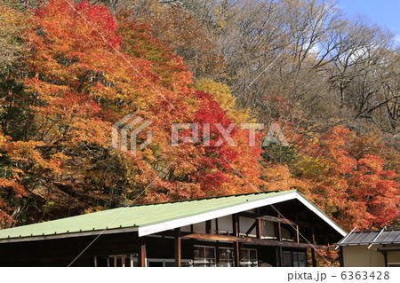 男体山 入口 6363428