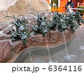 箱根神社の龍神水舎 6364116