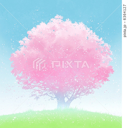 桜　イラスト 6364127