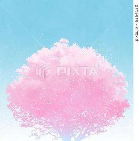 桜　イラスト 6364130