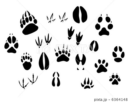 Animal Footprints Silhouettesのイラスト素材