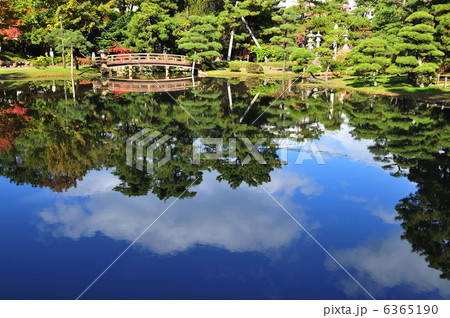 白山公園秋 6365190