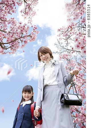 桜の下で手をつなぐ母と新入生の女の子 6365514
