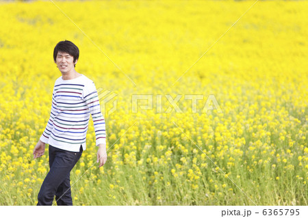 ナノハナ畑を歩く男性 6365795