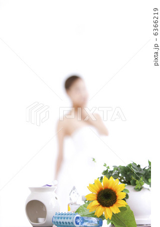 観葉植物などと女性 6366219