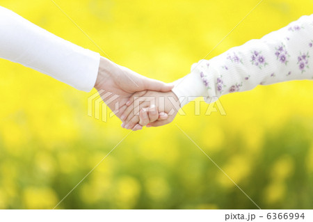 ナノハナ畑で手をつないでいる母親と娘の手元 6366994