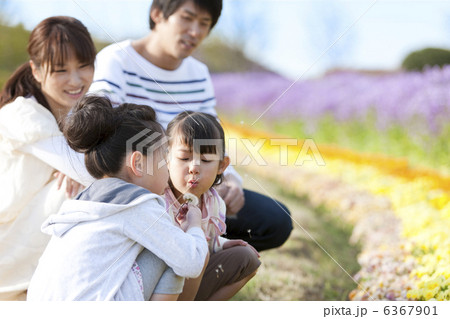 たんぽぽの綿毛を吹いている姉妹と両親 たんぽぽの綿毛を吹いている姉妹と両親 6367901