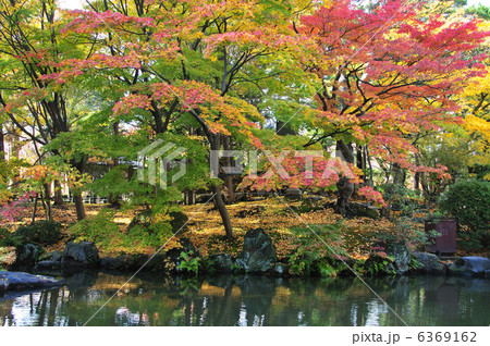白山公園紅葉 6369162