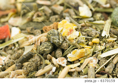 ペットフード（げっ歯類用） 6370159