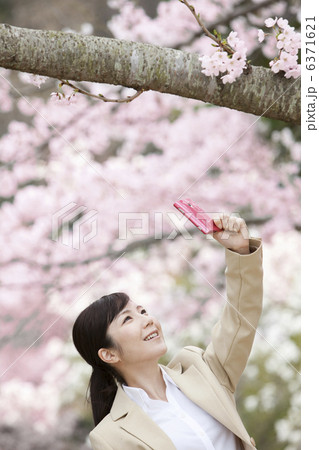 桜を撮るビジネスウーマン 桜を撮るビジネスウーマン 6371621