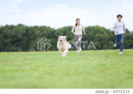 走っているカップルと犬 走っているカップルと犬 6372215