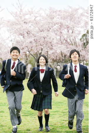 桜と走る男女学生3人 6372647