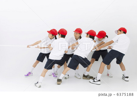 綱を引く体操服姿の小学生 6375188
