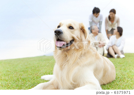 伏せている犬と4人家族 6375971