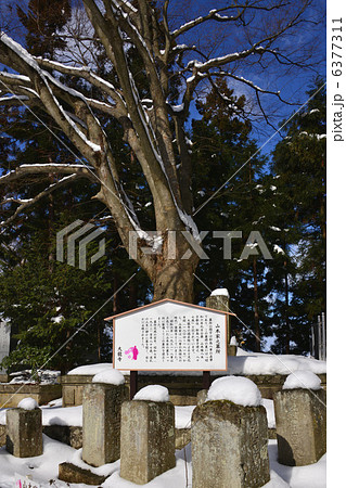 会津　大龍寺山本家の墓 6377311