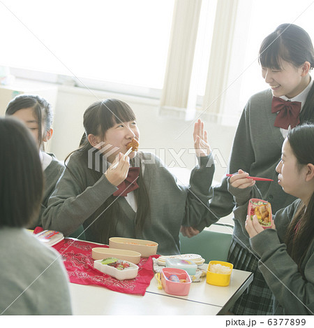 お弁当を食べる中学生 6377899