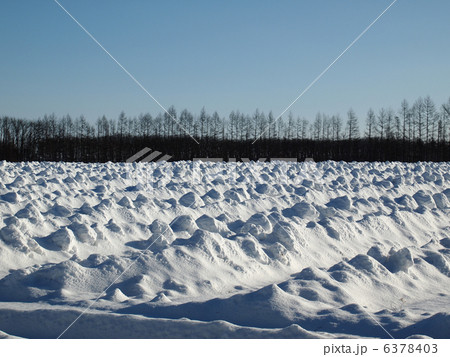 はぐれジャガイモ対策 6378403