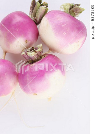 あやめ雪 6378539