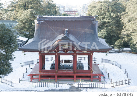 正月　冬　鶴岡八幡宮　鎌倉 6378845