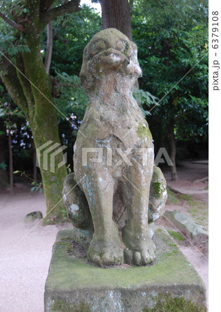 八重垣神社の「狛犬」(島根県松江市佐草町) 八重垣神社の「狛犬」(島根県松江市佐草町) 6379108