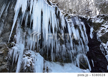 スッカン沢の氷柱 6380028