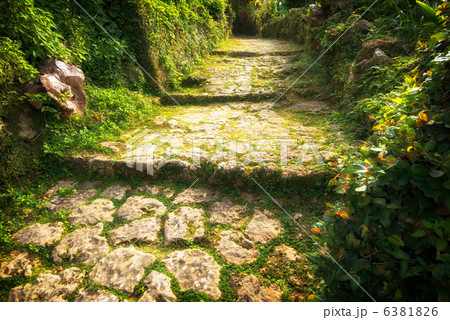首里金城町石畳道 6381826